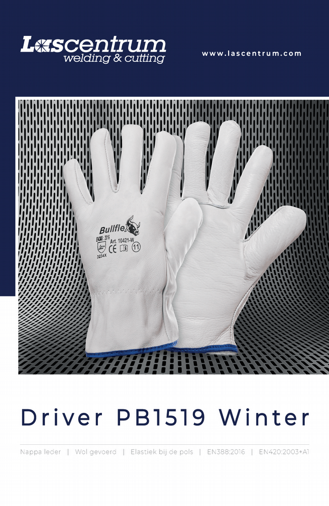 Driver 36PB1519 Winter